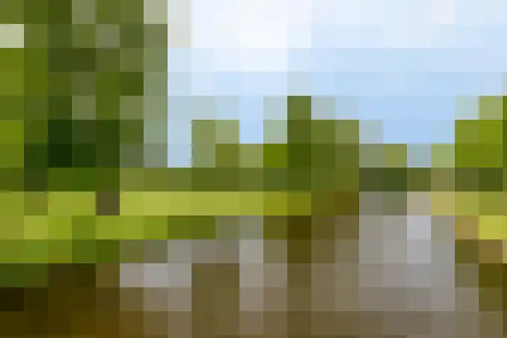 De Visserlaan 27 Hillegom thumbnail 28
