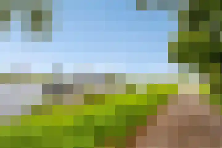 De Visserlaan 27 Hillegom thumbnail 29