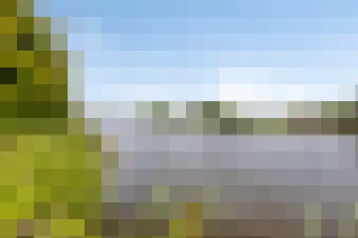 De Visserlaan 27 Hillegom thumbnail 30