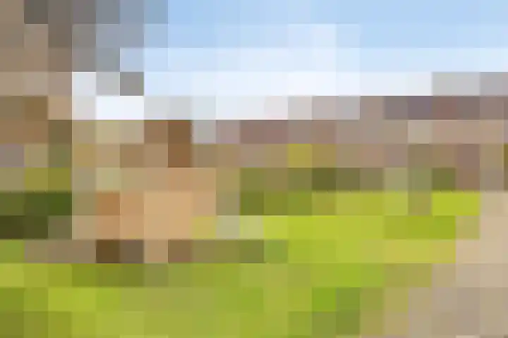 De Visserlaan 29 Hillegom thumbnail 27