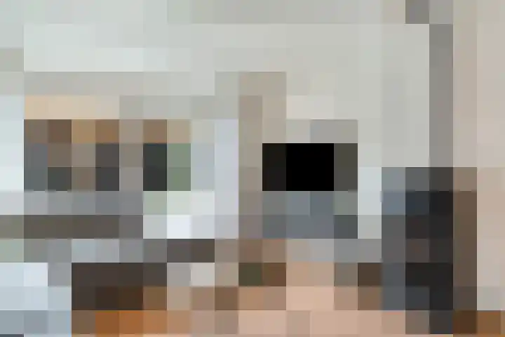 De Visserlaan 84 Nunspeet thumbnail 11