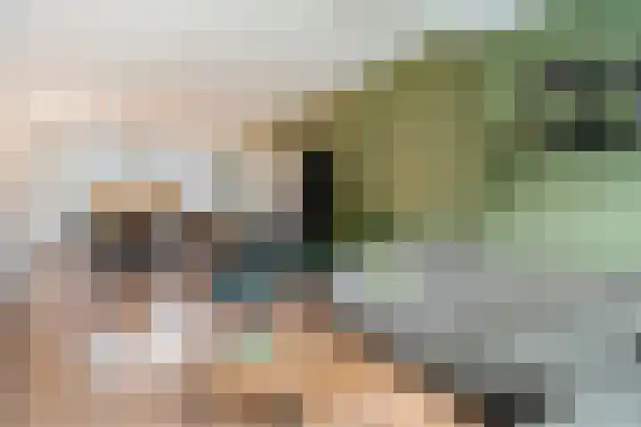 De Visserlaan 84 Nunspeet thumbnail 13