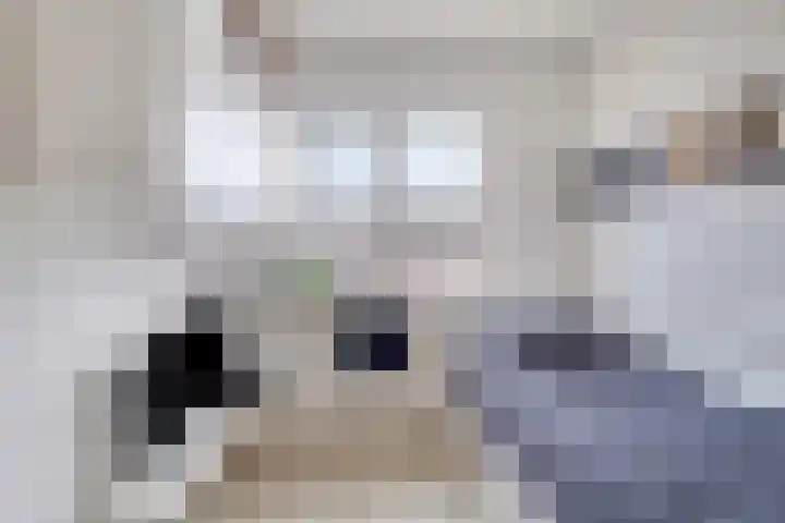 De Visserlaan 84 Nunspeet thumbnail 29
