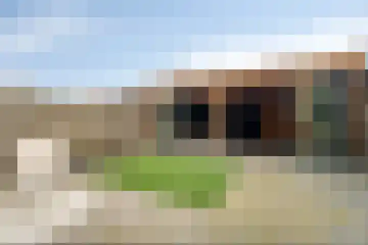 De Visserlaan 84 Nunspeet thumbnail 37