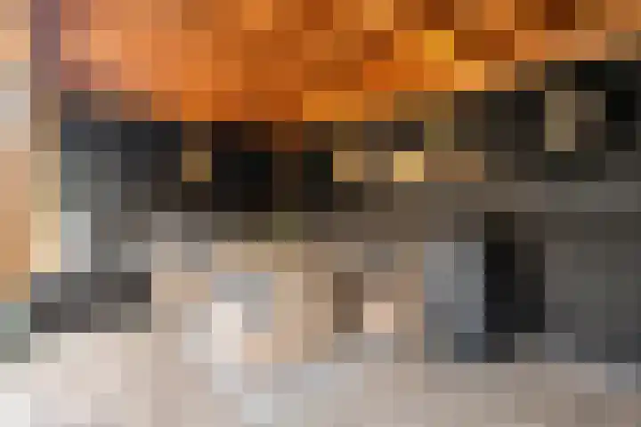 De Visserlaan 84 Nunspeet thumbnail 4