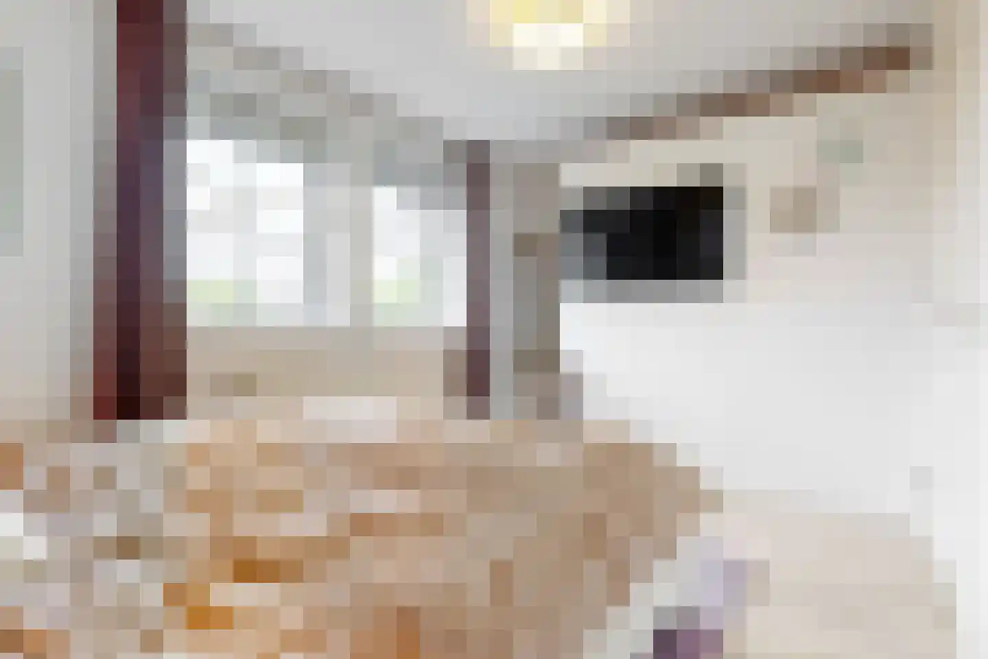 de Visserstraat 1 Heemskerk thumbnail 19