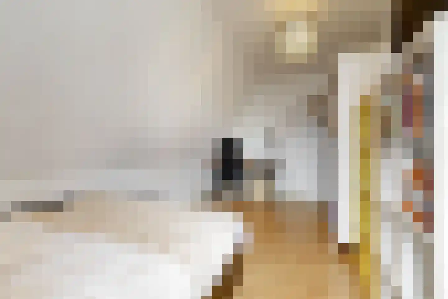 de Visserstraat 1 Heemskerk thumbnail 25