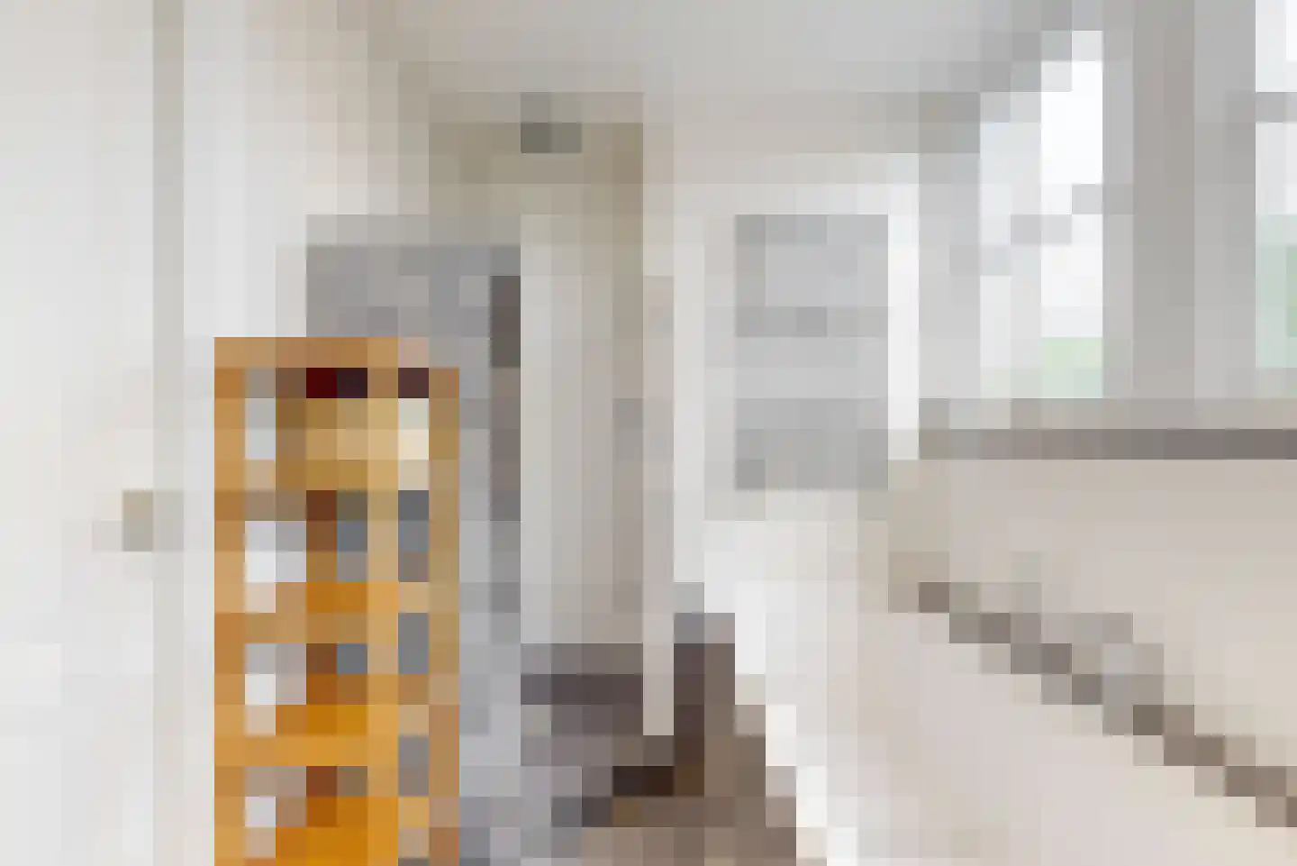 de Visserstraat 1 Heemskerk thumbnail 27