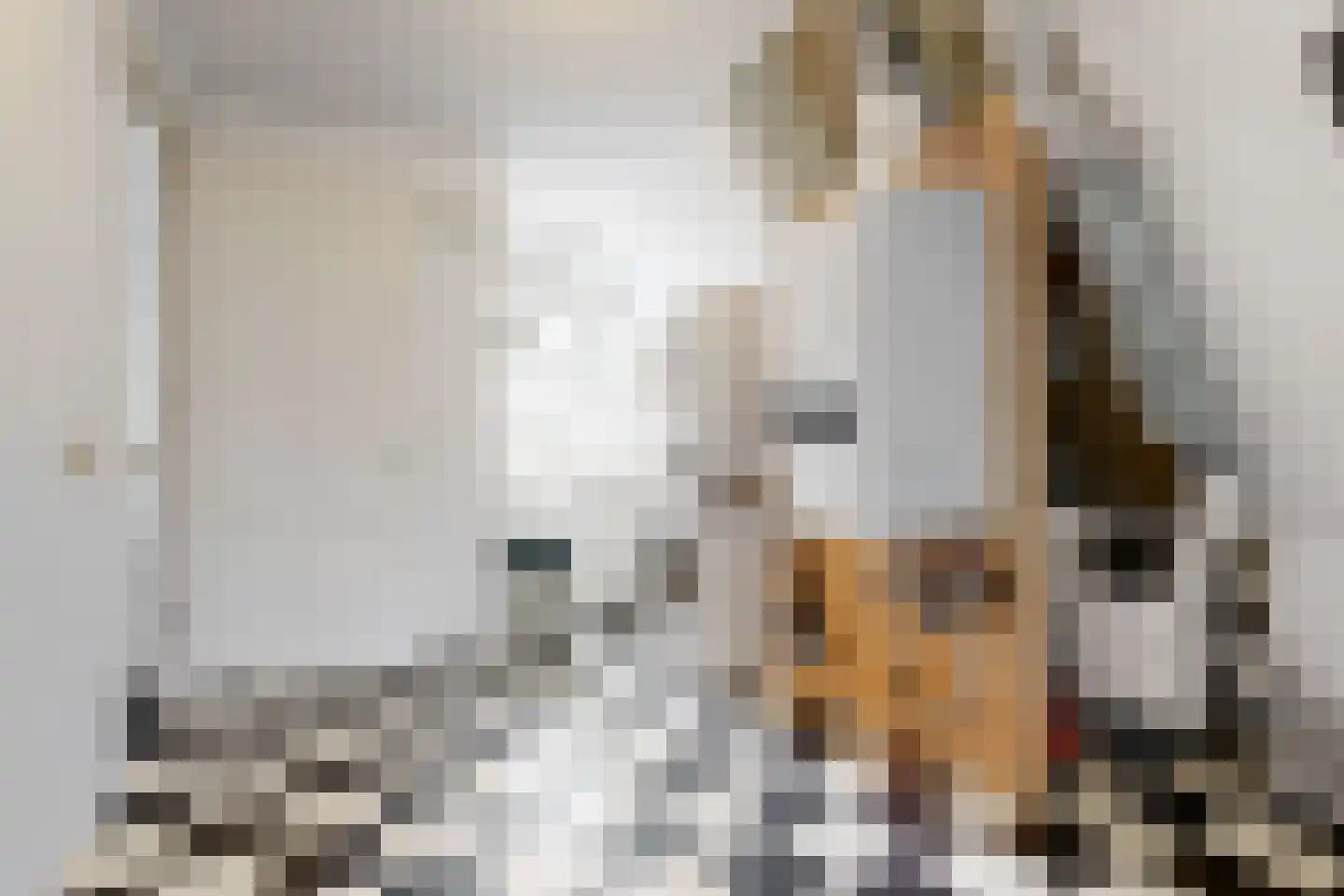 de Visserstraat 1 Heemskerk thumbnail 29