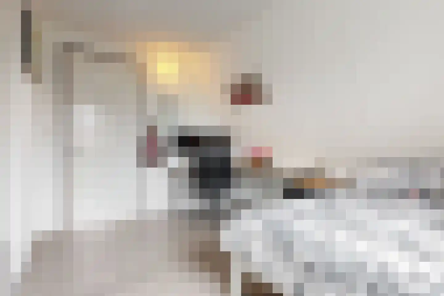 de Visserstraat 1 Heemskerk thumbnail 31
