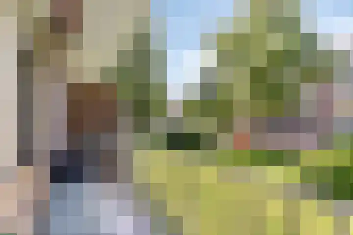 De Visserstraat 10 Apeldoorn thumbnail 18