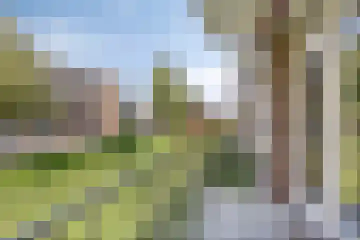 De Visserstraat 10 Apeldoorn thumbnail 19