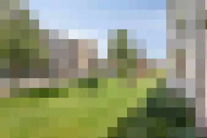 De Visserstraat 10 Apeldoorn thumbnail 20