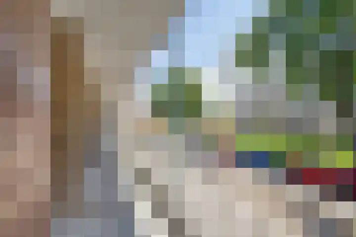 De Visserstraat 10 Apeldoorn thumbnail 23