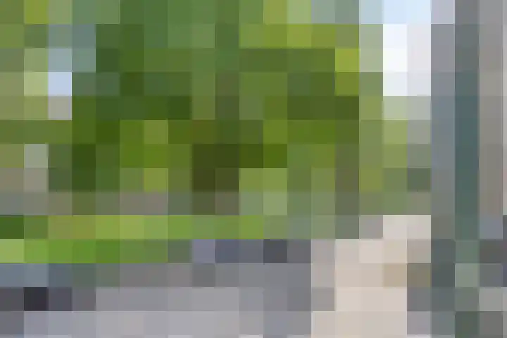 De Visserstraat 10 Apeldoorn thumbnail 25