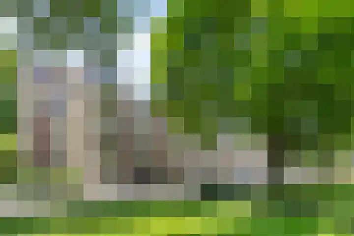 De Visserstraat 10 Apeldoorn thumbnail 27