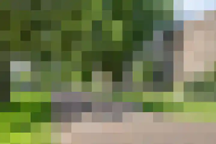 De Visserstraat 10 Apeldoorn thumbnail 31