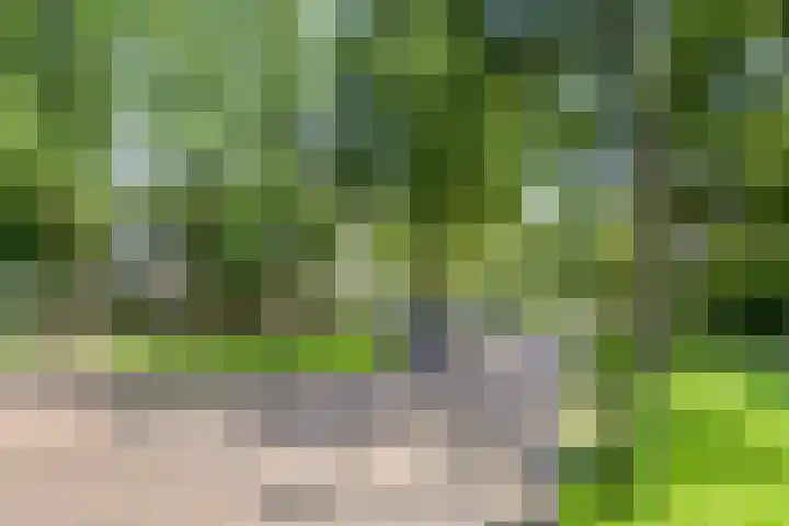 De Visserstraat 10 Apeldoorn thumbnail 34
