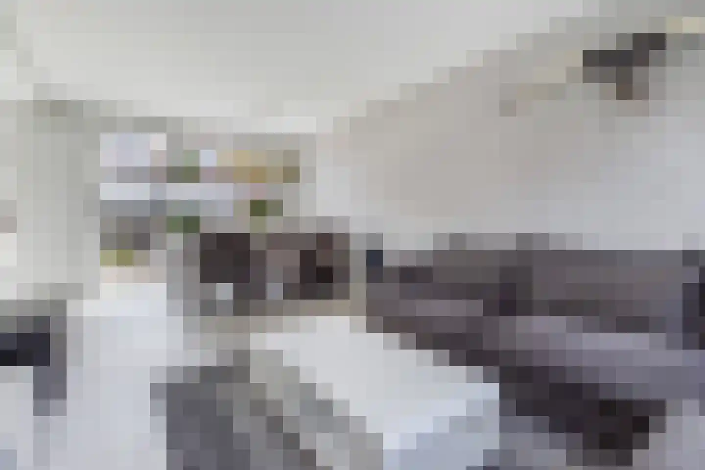 de Visserstraat 10 Gouda thumbnail 11