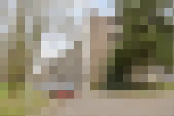 De Visserstraat 18 Apeldoorn thumbnail 22