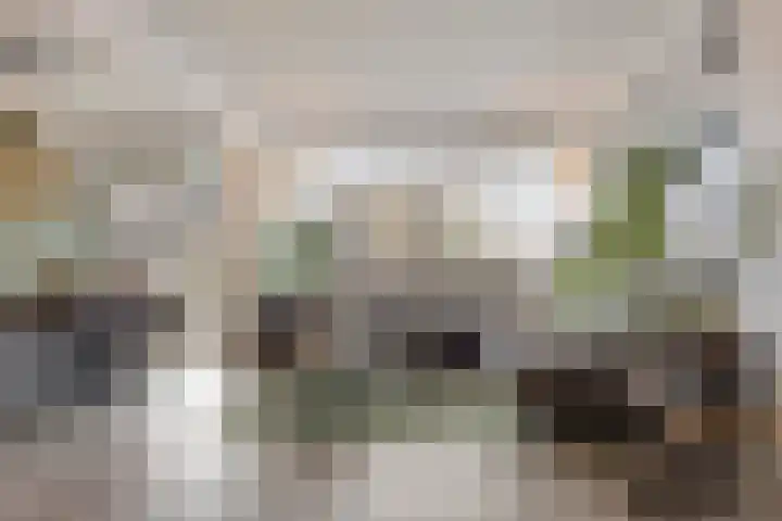 De Visserstraat 18 Apeldoorn thumbnail 4