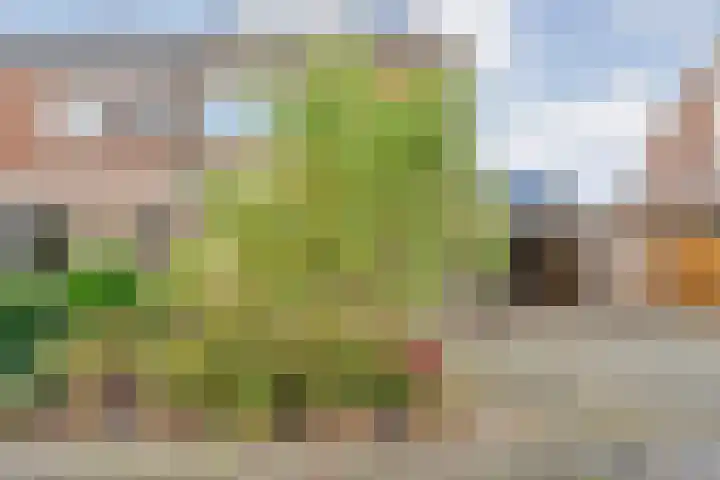 De Visserstraat 21 Bergentheim thumbnail 58