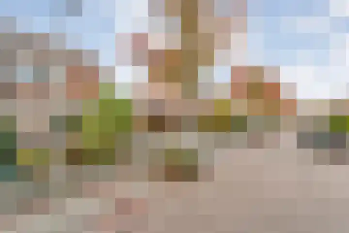 De Visserstraat 21 Bergentheim thumbnail 59