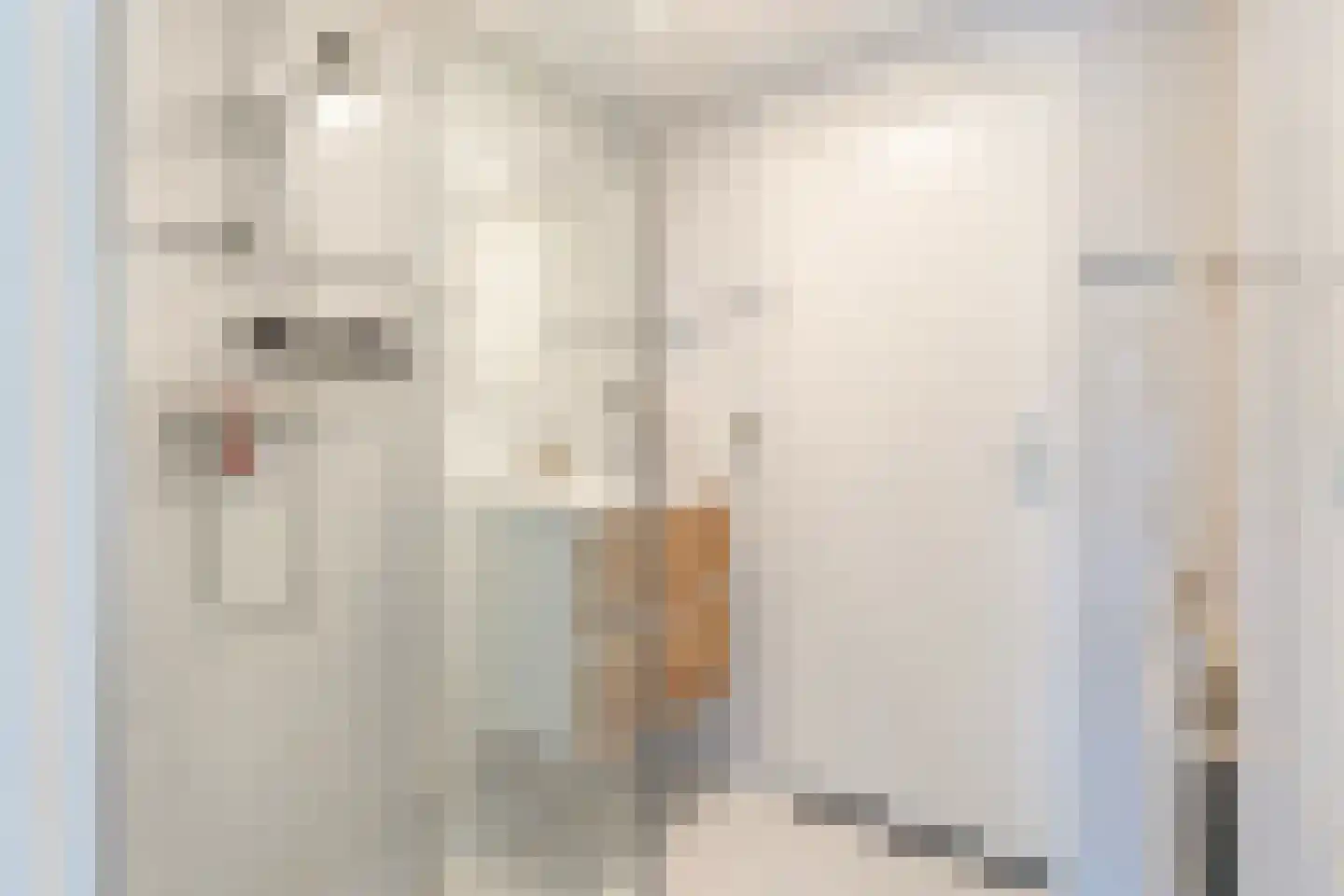 De Visserstraat 28 Apeldoorn thumbnail 29
