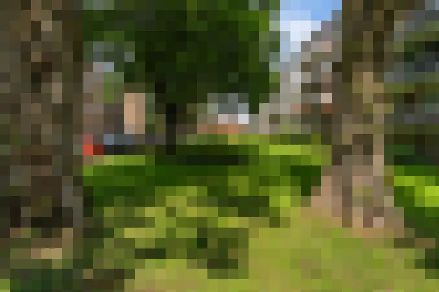 De Visserstraat 28 Apeldoorn thumbnail 32