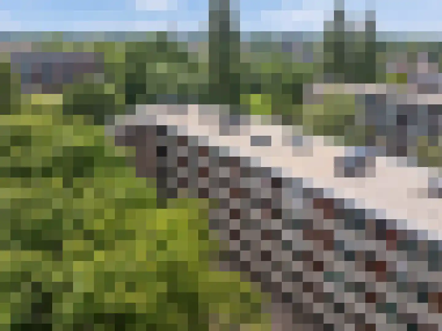 De Visserstraat 28 Apeldoorn thumbnail 39