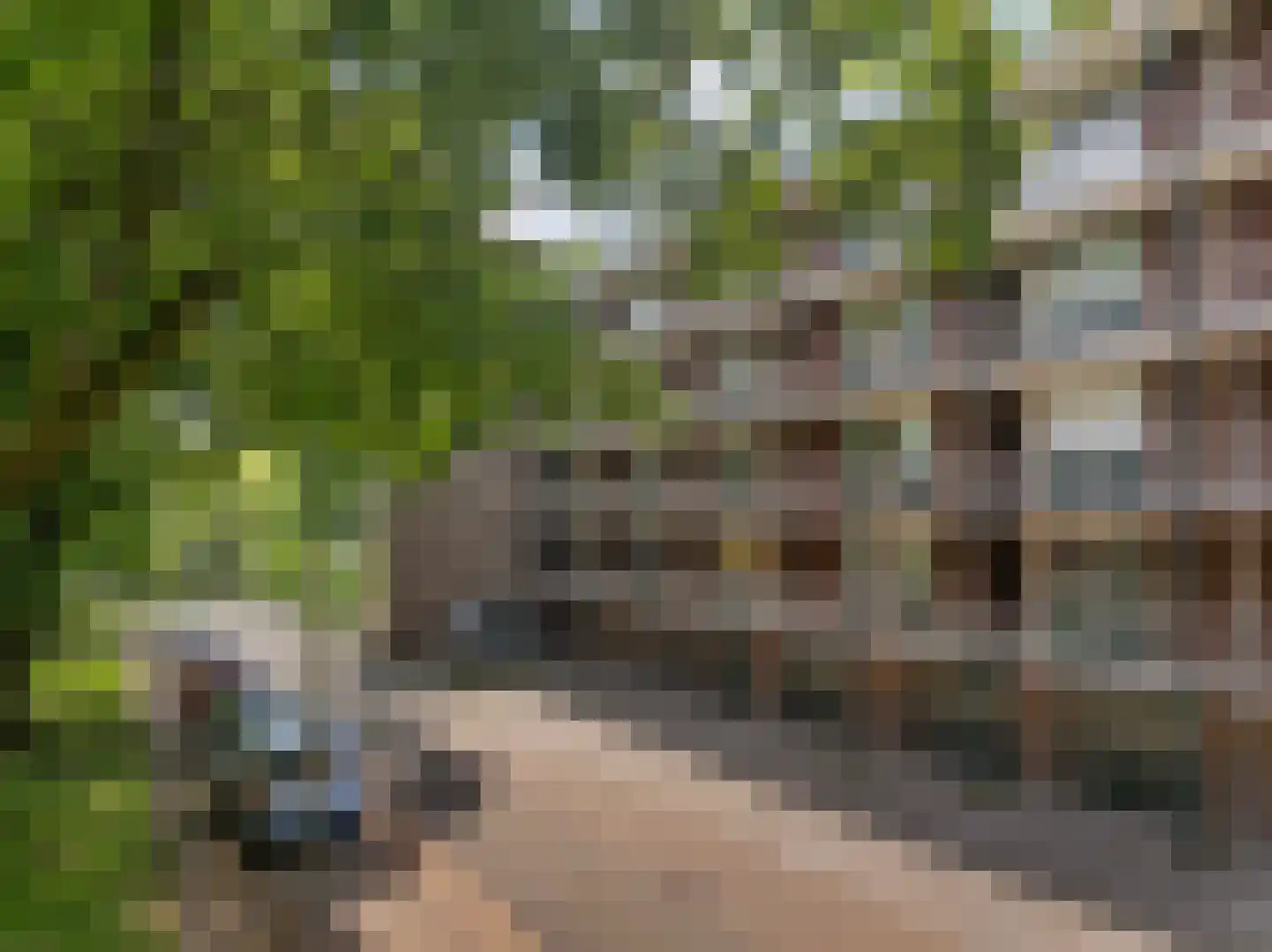 De Visserstraat 28 Apeldoorn thumbnail 42