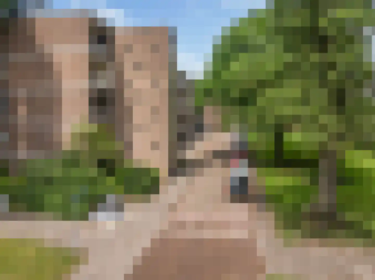 De Visserstraat 28 Apeldoorn thumbnail 51