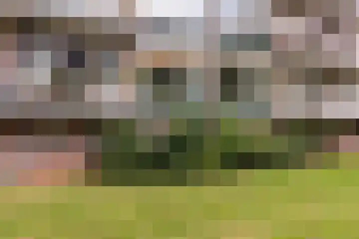 De Visserstraat 4 Apeldoorn thumbnail 27