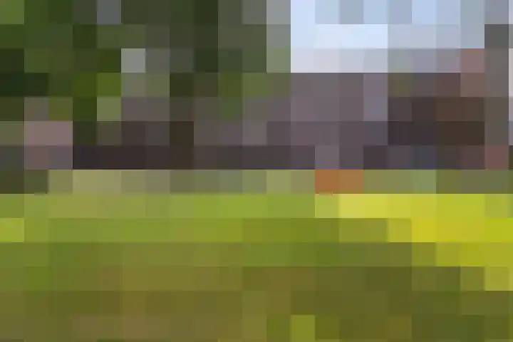 De Visserstraat 4 Apeldoorn thumbnail 4