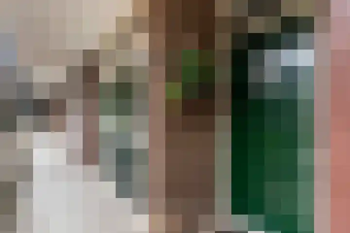 De Visserstraat 4 Apeldoorn thumbnail 6
