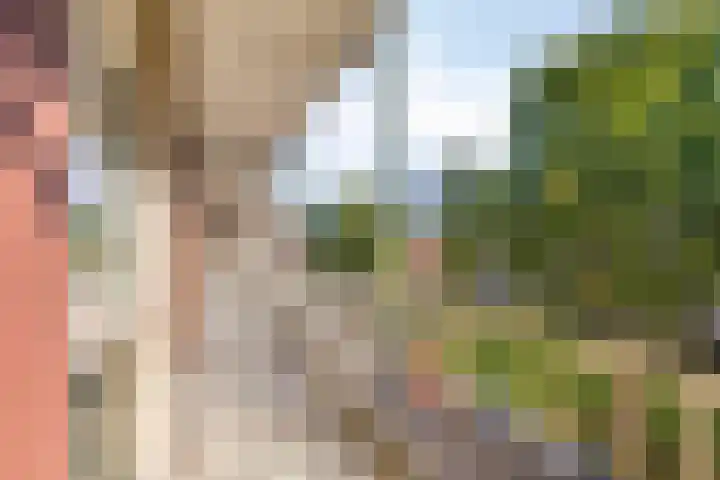 De Visserstraat 42 Apeldoorn thumbnail 4