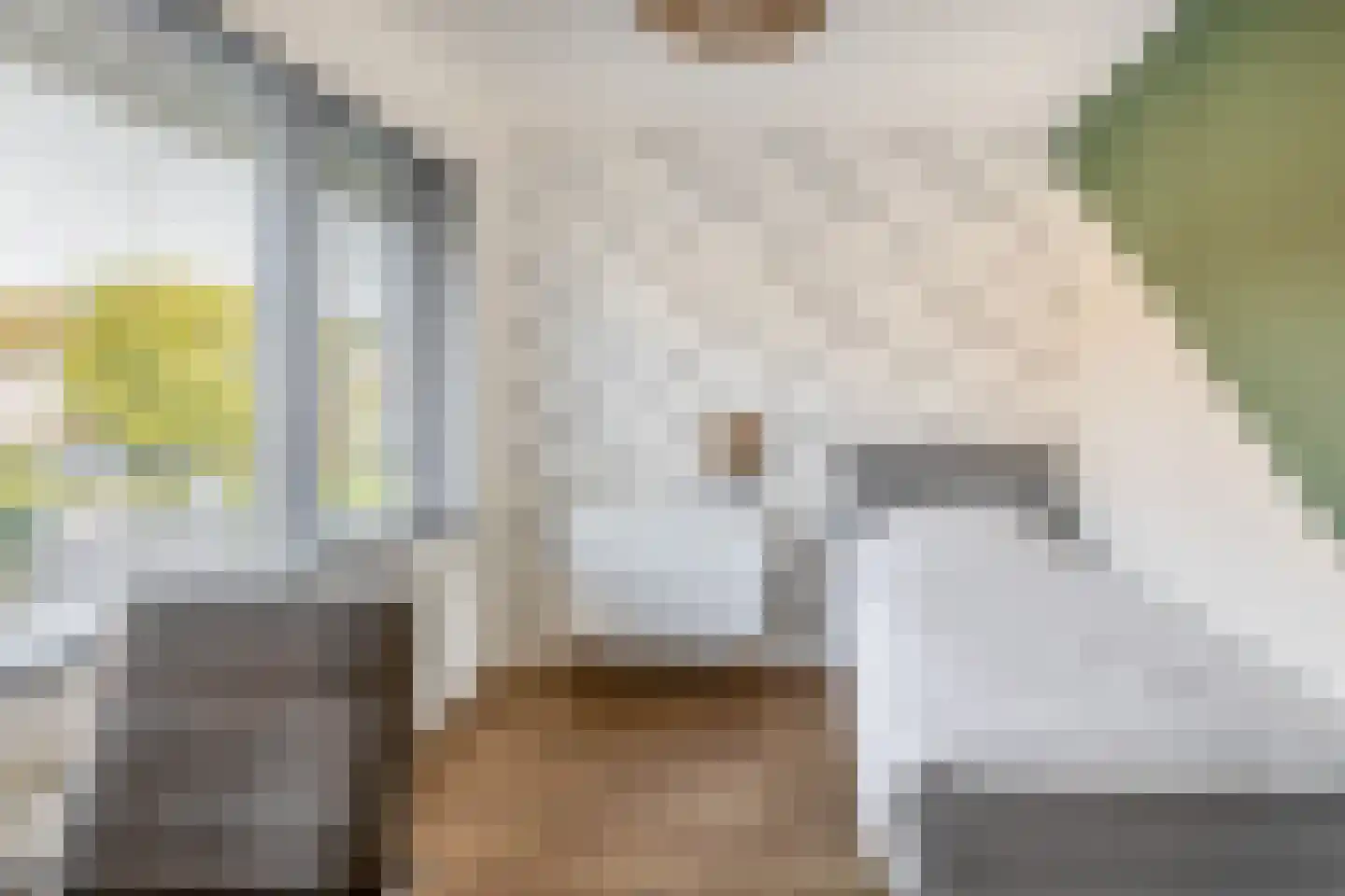 de Visserstraat 44 Gouda thumbnail 25