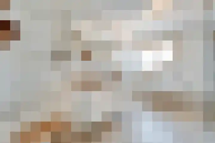 De Visserstraat 45 Bergentheim thumbnail 37