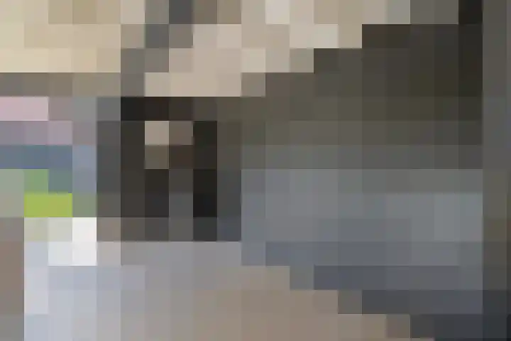 De Visserstraat 45 Bergentheim thumbnail 56