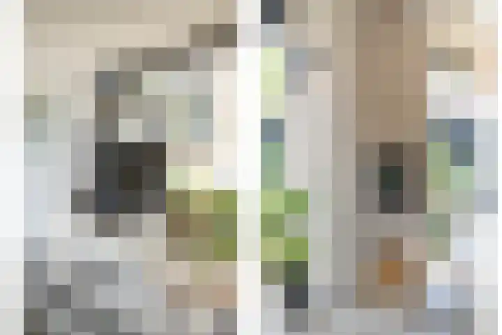 De Visserstraat 45 Bergentheim thumbnail 59