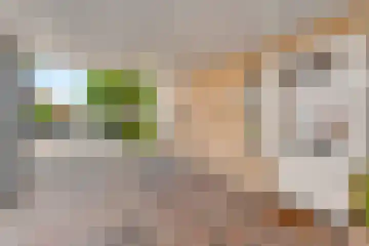 De Visserstraat 45 Bergentheim thumbnail 6