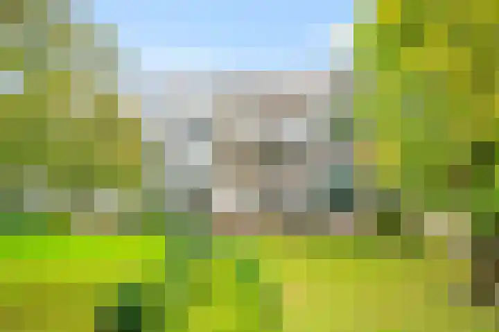 De Visserstraat 48 Apeldoorn thumbnail 21