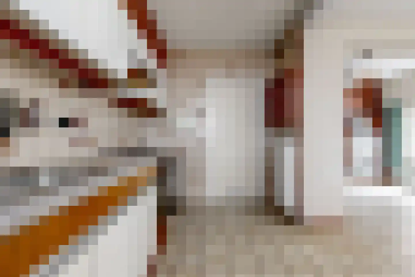 de Visserstraat 5 A Heemskerk thumbnail 13
