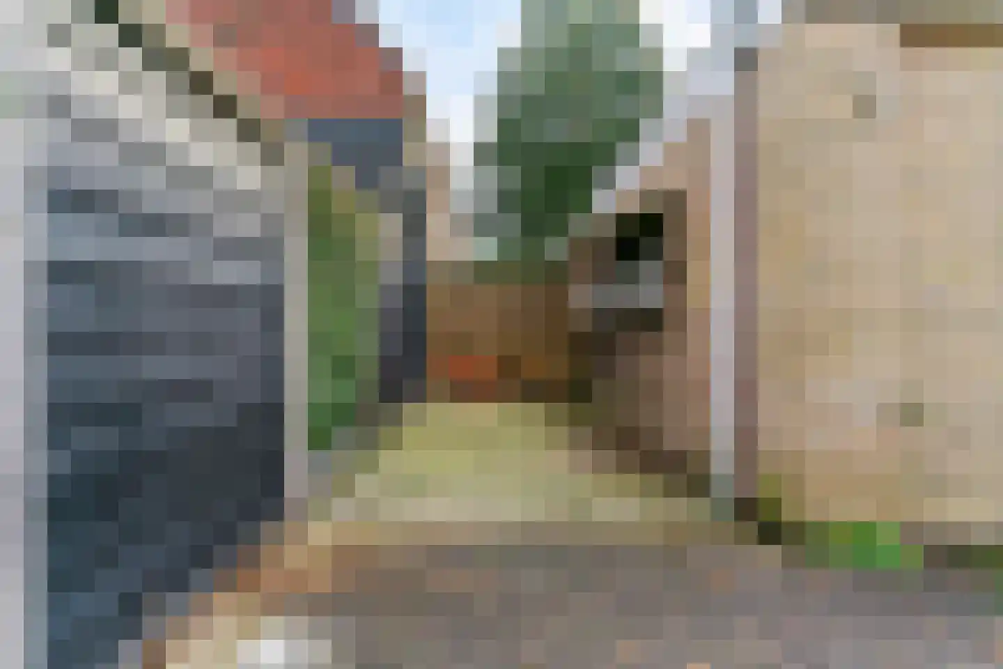 de Visserstraat 5 A Heemskerk thumbnail 36
