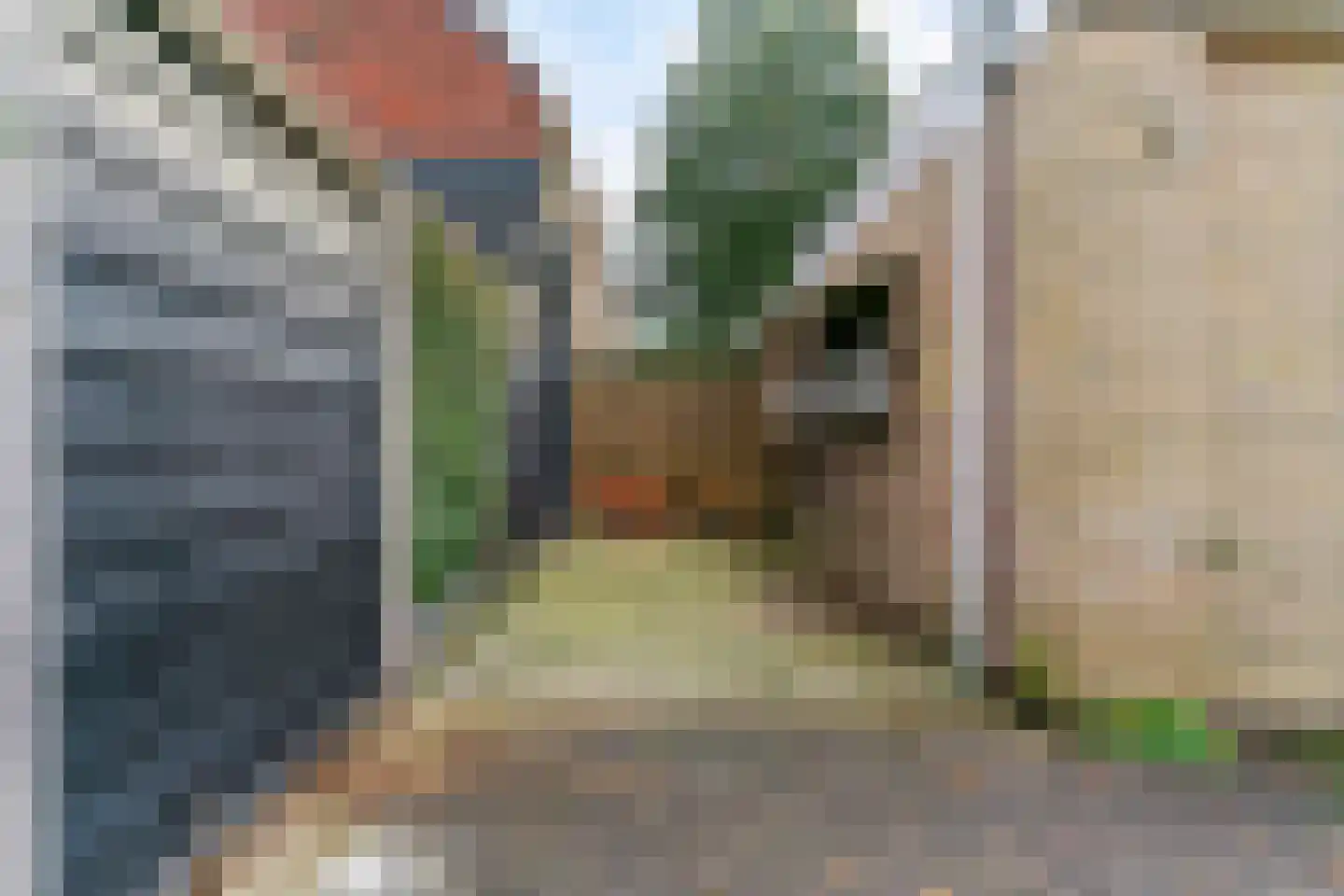 de Visserstraat 5 A Heemskerk thumbnail 36