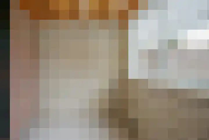 de Vlaanders 22 St. Willebrord thumbnail 12