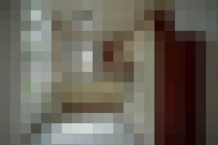 de Vlaanders 22 St. Willebrord thumbnail 6