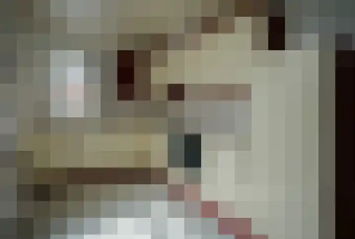 de Vlaanders 22 St. Willebrord thumbnail 7