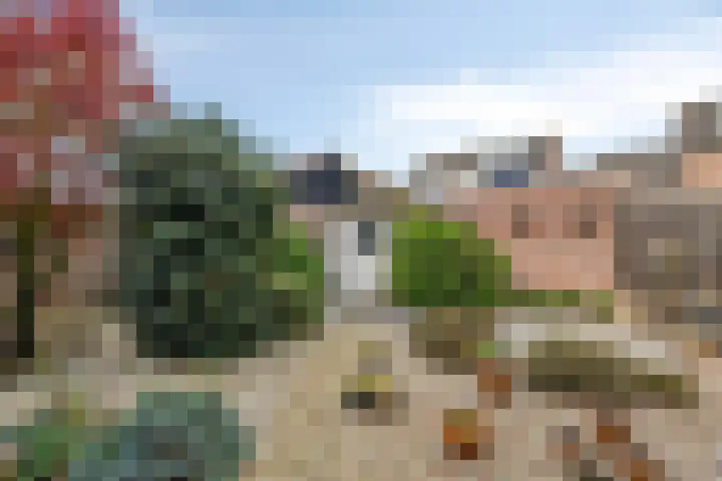 de Vlaanders 49 St. Willebrord thumbnail 20