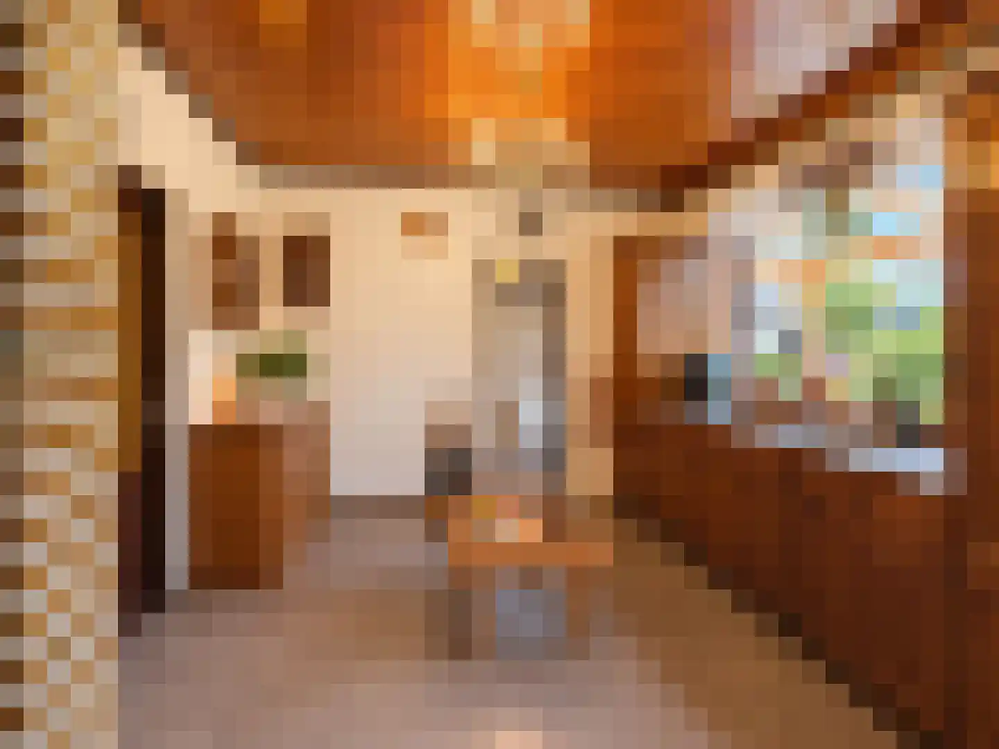 de Vlaanders 6 St. Willebrord thumbnail 10
